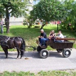 Dożynki 2008