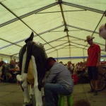 Dożynki 2013. Krowiarki polubiły rowery