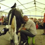 Dożynki 2013. Krowiarki polubiły rowery